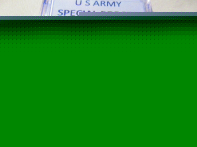 U S ARMY Special Forces "Green Berets" Challenge Coin gallery