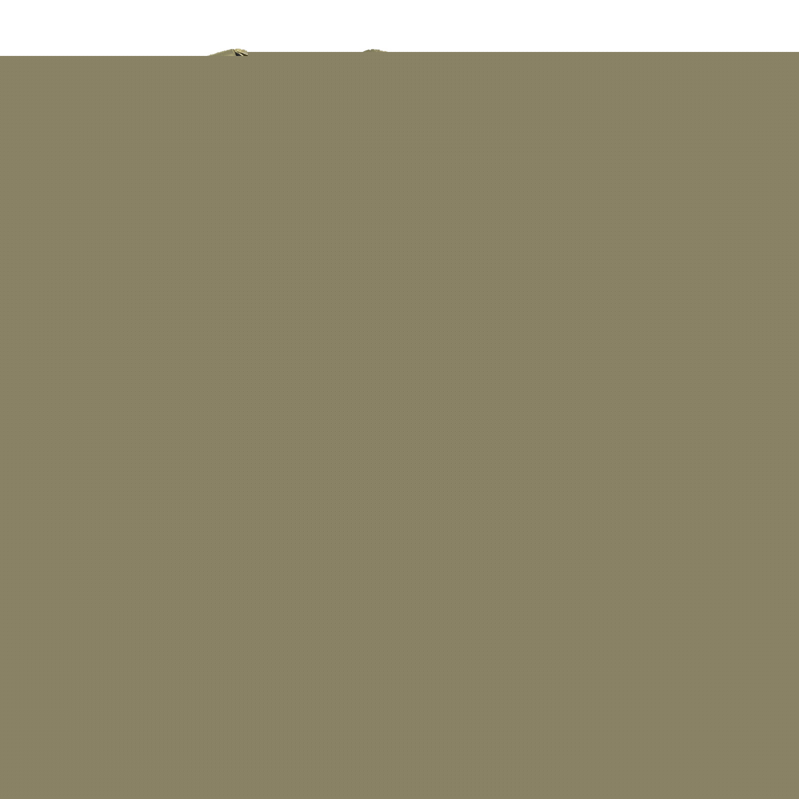 DL8-15 NEW JERSEY LEO Thin Gray Line Correctional CO Corrections Officer Body Ar gallery