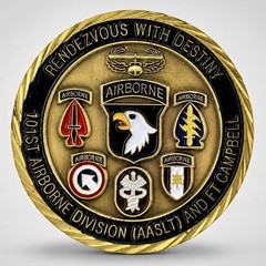 101st Airborne Division CSM Challenge Coin Air Assault Fort Campbell E-9