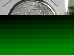 EG GIRL SCOUT GSUSA 1968 SOUTHEAST LOUISIANA 50TH ANNIVERSARY CHALLENGE COIN !!!