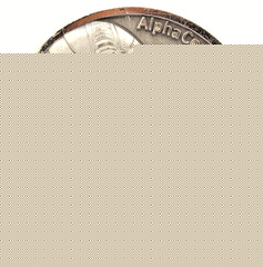 USMC Alpha Co 1/24 Marines Grand Rapids Wolf Pack Challenge Coin 2″