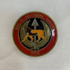 Multi-National Corps Iraq Challenge Coin MNC-I Coalition Flags Military OIF