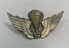 Unknown Paratrooper Airborne Parachutist Jump Wings Wing Badge