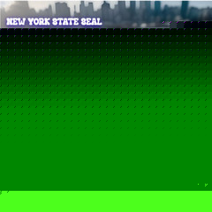NEW YORK (NY) State Seal Challenge Coin Colorized USA CASE INCLUDED #NY