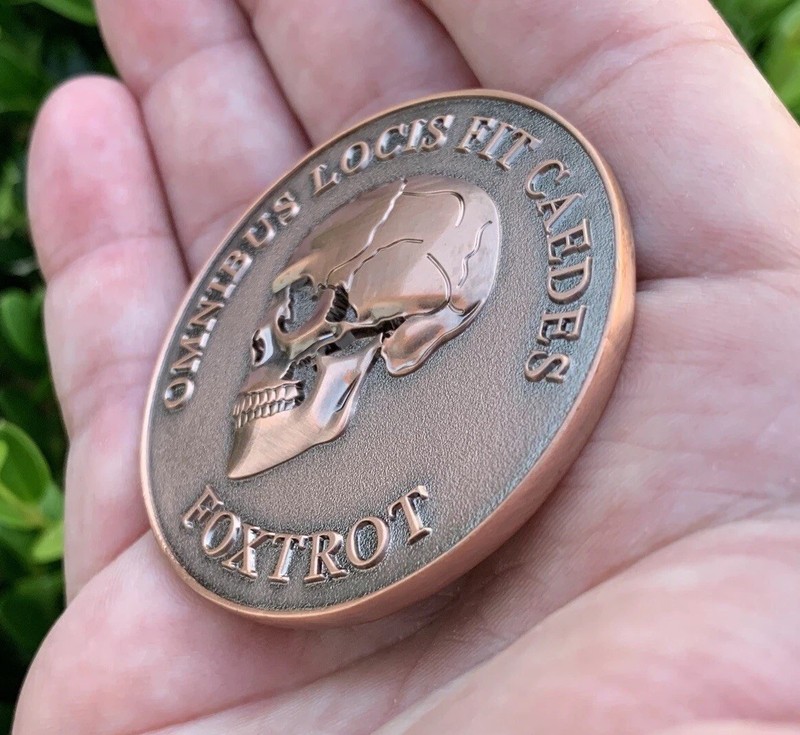 Navy Seals Seal Team 7 NSW TU3 Foxtrot Platoon Skull Omnibus Challenge Coin CPO gallery
