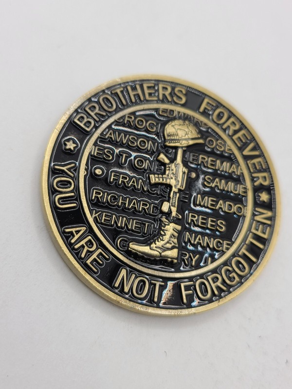 Vietnam Veteran Challenge Coin with Three Soldiers Graphic 1.75" SHIPS FROM USA gallery