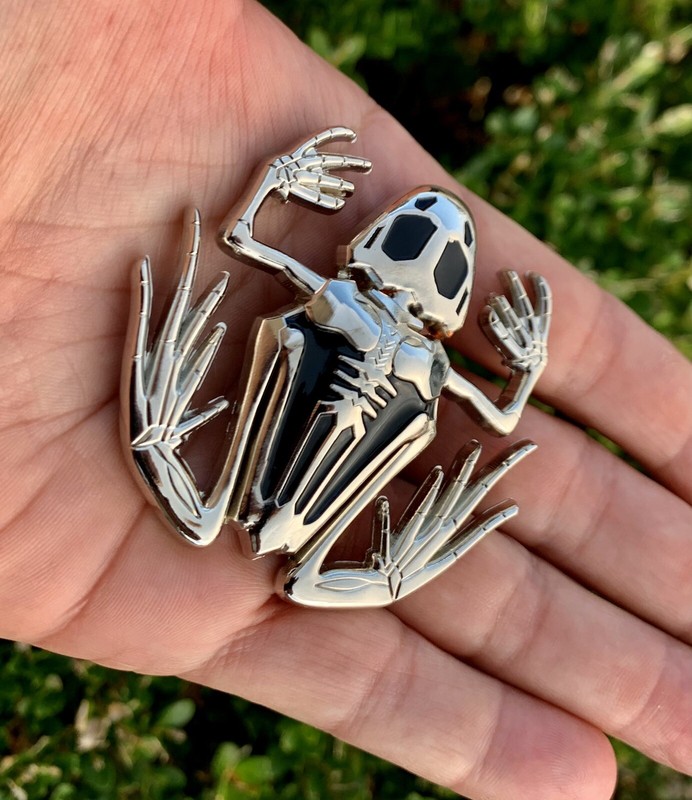 Navy Seals Bone Skull Skeleton Frog Seal Team 6 Challenge Coin NSW CPO DEVGRU gallery