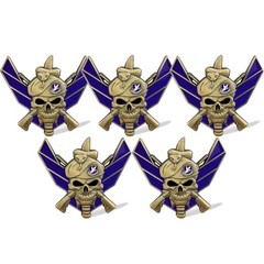 5pcs Air Force Challenge Coin Air Force Skull Defense Force Badge Military Coins