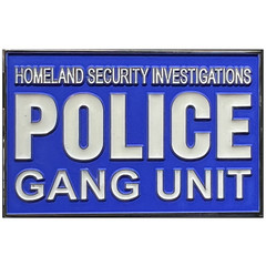 EL11-003 HSI Special Agent Police Gang Unit Challenge Coin Blue Line American Fl