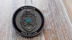 Miami Dade Sheriffs Office FL CST Crime Suppression Team Challenge Coin #E870