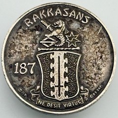 101st Airborne RAKKASANS 187th Infantry Challenge Coin DKP Serialized #2536