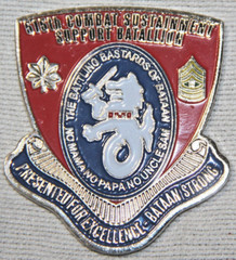 ORIGINAL NEW MEXICO ARMY NG 155TH COMBAT SUSTAINMENT SUPPORT BN CHALLENGE COIN