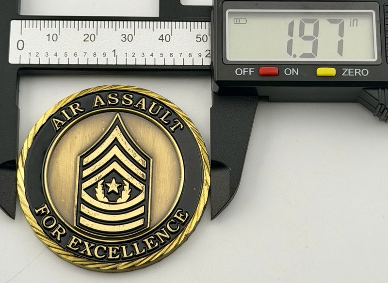 101st Airborne Division CSM Challenge Coin Air Assault Fort Campbell E-9 gallery