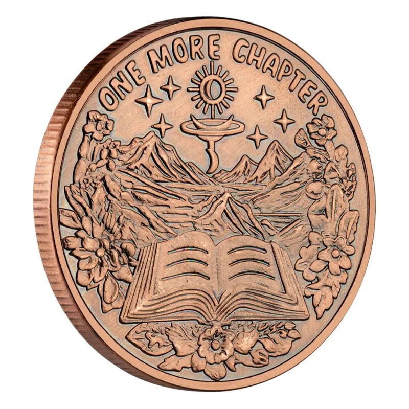 2025 New Style Copper Plated Decision Coin Go To Bed or One More Chapter Coin gallery