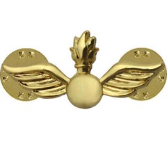 U.S. Navy Aviation Ordnance Technician Genuine Gold Collar Device