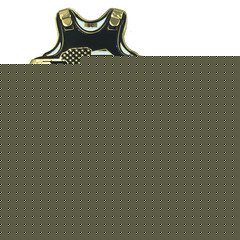 Corrections Thin Gray Line South Carolina CO Correctional Officer Body Armor Sta