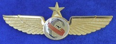 Unknown Airline Pilot Wing C-63