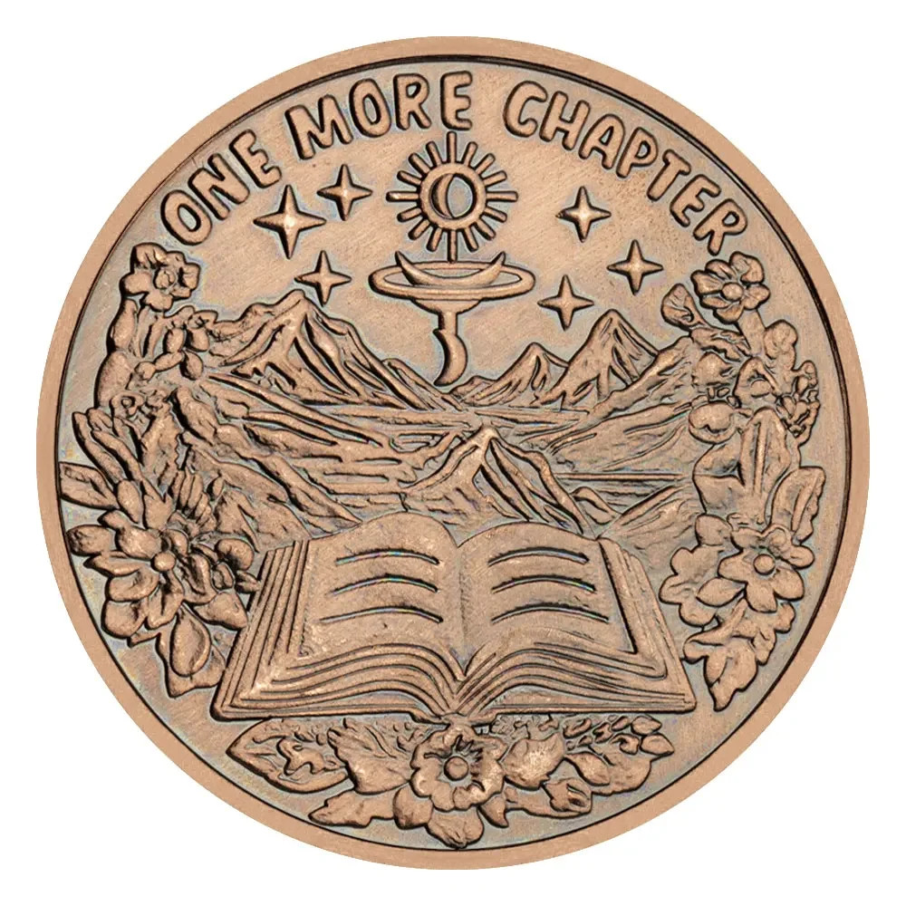 2025 New Style Copper Plated Decision Coin Go To Bed or One More Chapter Coin gallery