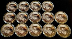 14 Eagle Isaiah 40:31 Challenge Coin-2D-Flat-Stickers-14 Coin Lot-Gold Colored