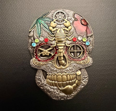 – RARE – Arizona HSI HIDTA Skull Challenge Coin 3” Gunmetal w/ color Variant