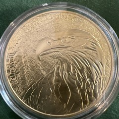 Christian Eagle Antique Gold Plated Challenge Coin – Isaiah 40:31