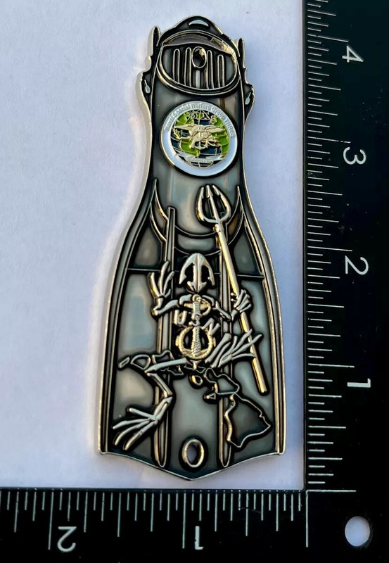 Navy Seals Seal Team NSW GROUP 3 Diver Flipper Fin Bone Frog Challenge Coin CPO! gallery