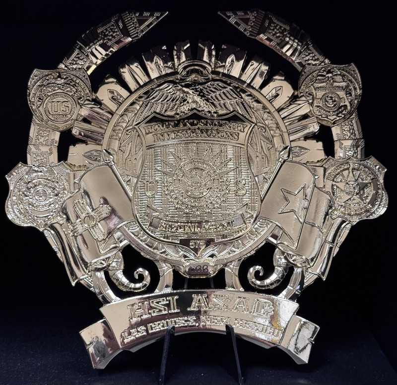 🔥HSI-NEW MEXICO-HIDTA STRIKE FORCE CHALLENGE COIN🔥🔥 gallery