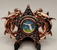 🔥 Sought After Monroe SO (MCSO) Hammerhead Sharks Coin (Full Copper)