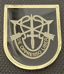 US Army 1st Special Forces Battalion 5th Special Forces Group CSM Challenge Coin