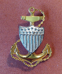 V.H. Blackinton CO. USCG Chief Petty Officer Pin Gold Silver Long Clutch Back