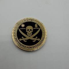 Baghdad Iraq 2008 2009 Challenge Coin – Presented For Excellence NUTS – Skull